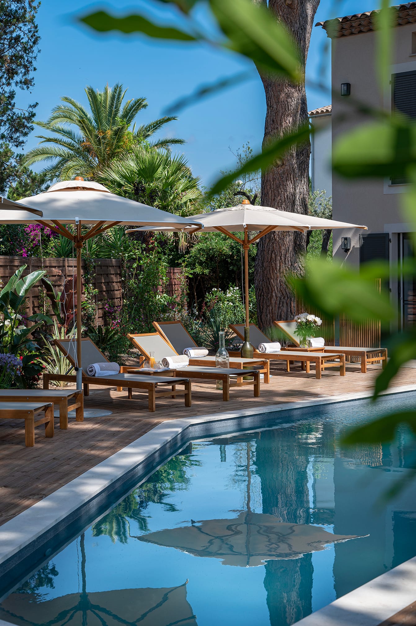 Piscine vue jardin